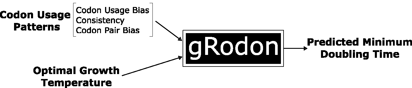 gRodon
